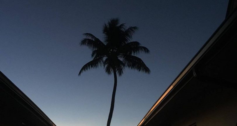 Le Nautique Luxury Waterfront Apartment Coming Soon to the Seychelles