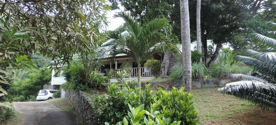 A private botanical garden MyProperty Seychelles