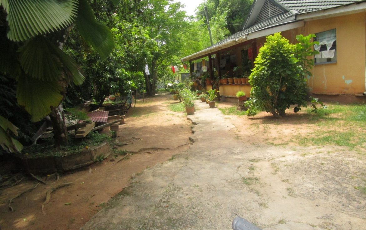 For Sale 1686 Metre Square flat land on la digue with Rental Properties