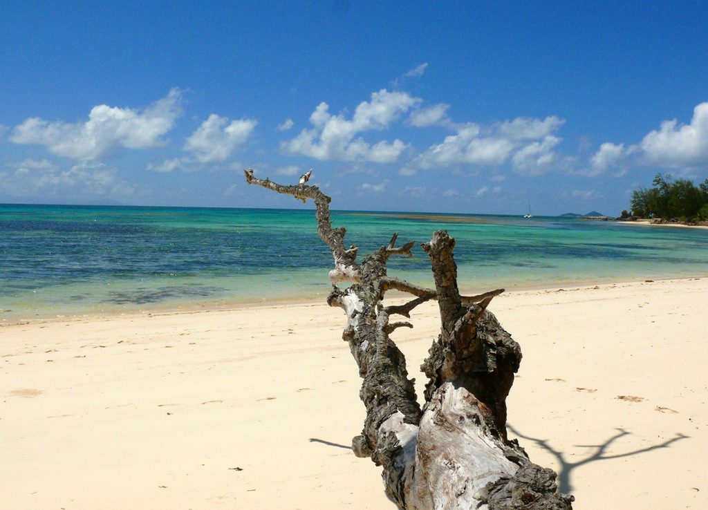 Beachfront land for sale with a lot of possibilities! St Sauveur