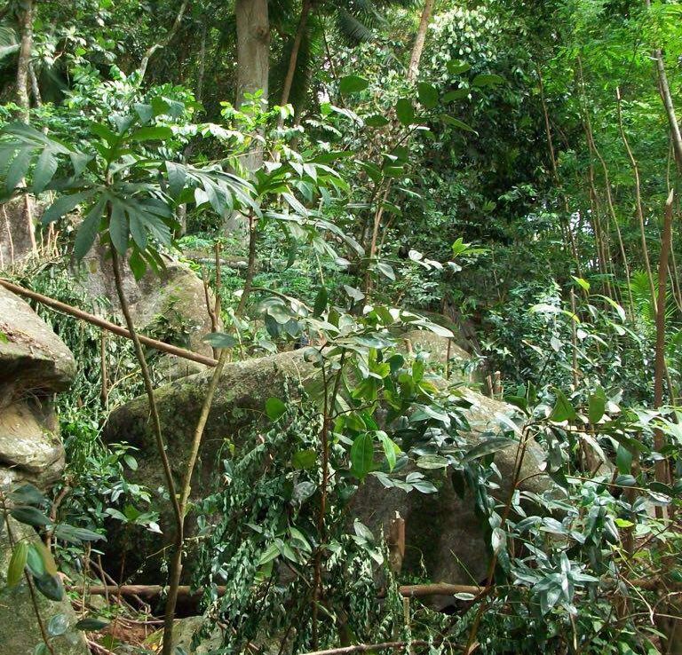 Rare opportunity! Land plot for sale with panoramic view at Beau Vallon